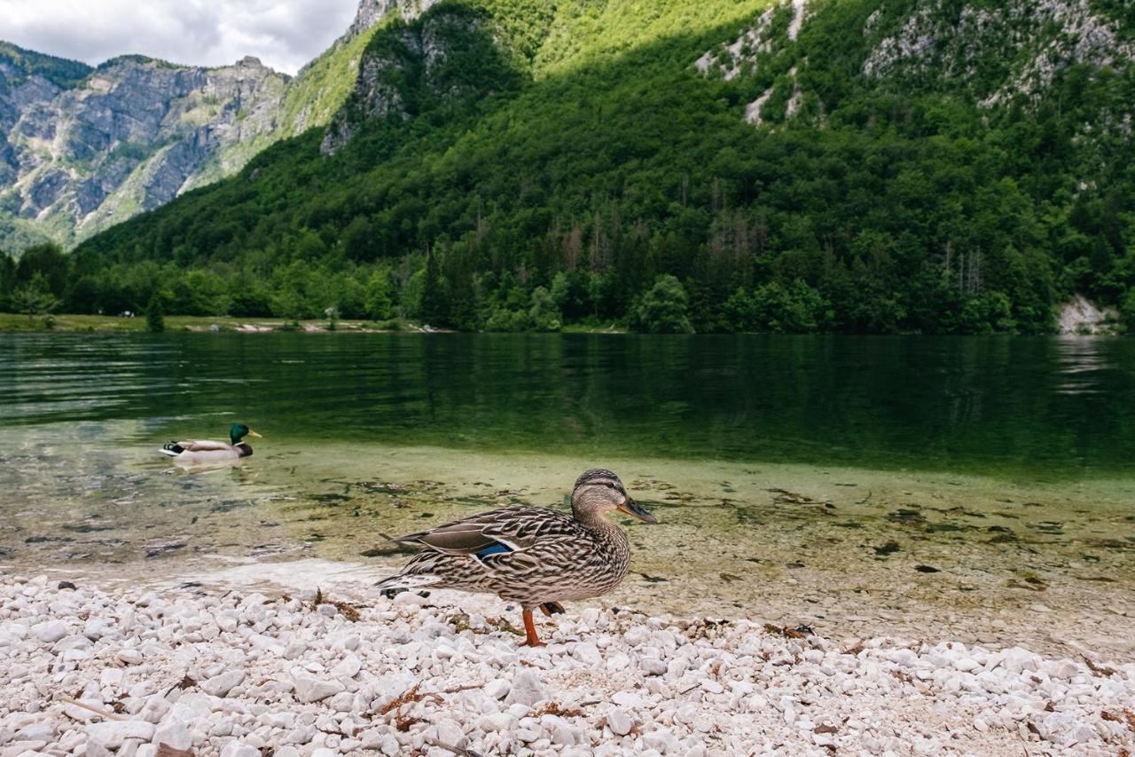 Villa Melody Bohinj Buitenkant foto